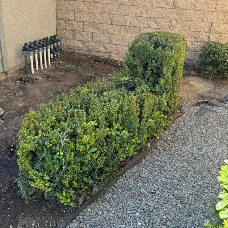Property cleanout Bakersfield